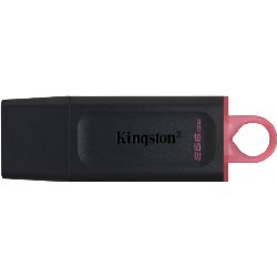 KINGSTON ALMACENAMIENTO DTX256GB