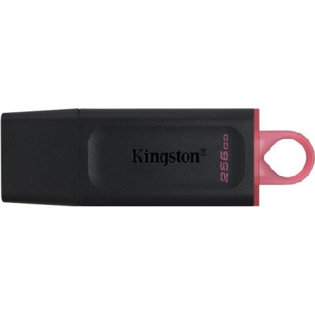 KINGSTON ALMACENAMIENTO DTX256GB