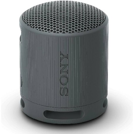 SONY COMPONENTES EQUIPO MUS SRSXB100B